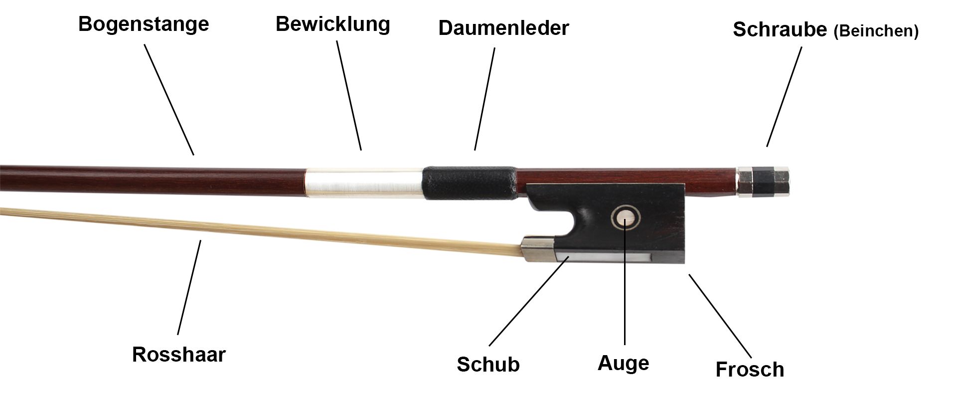 Understanding Bow Parts